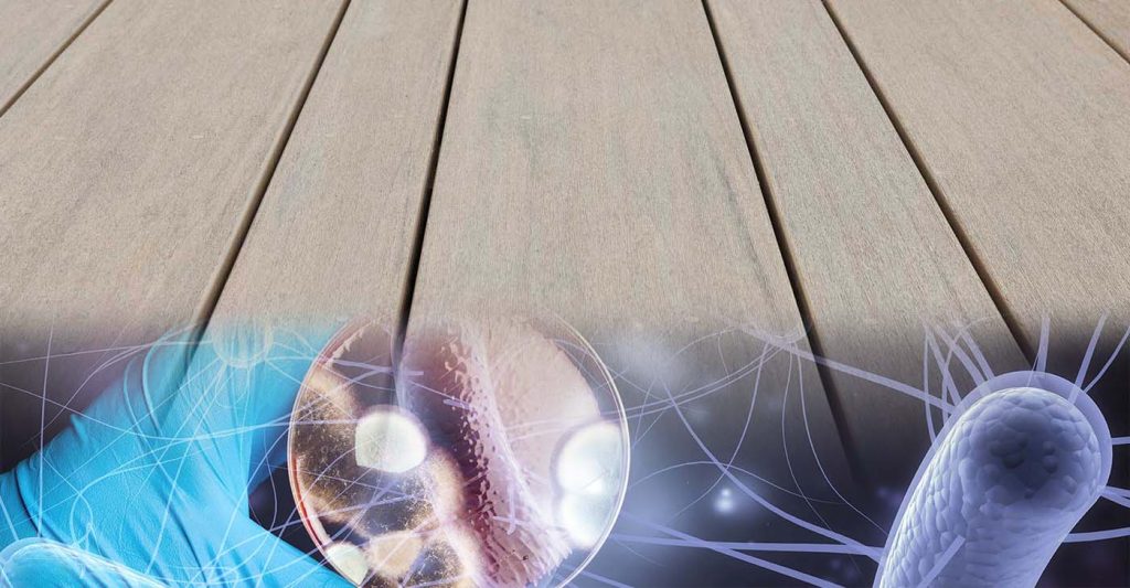 The increasing demand for antimicrobial composite wood