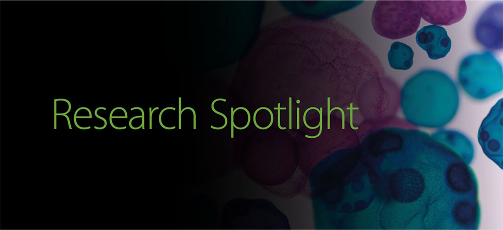 Antimicrobial Composite Wood -Research Spotlight