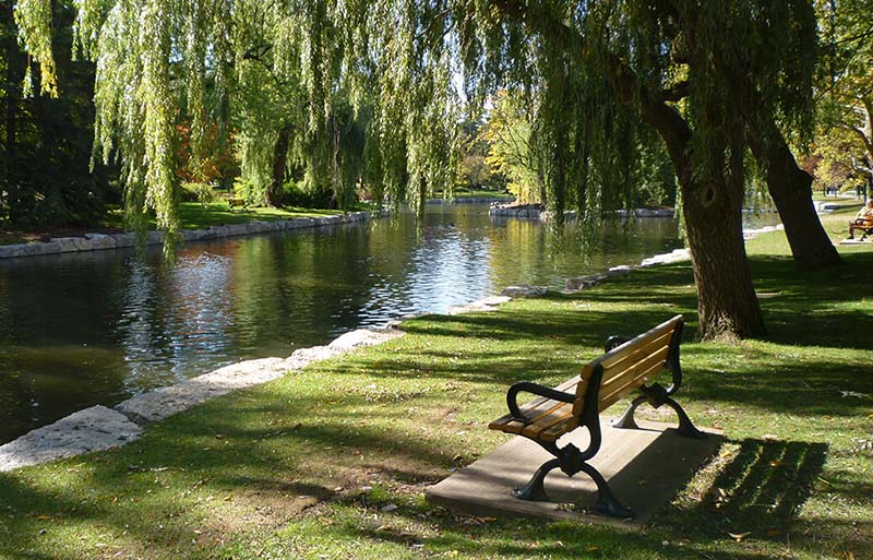WPC materials - WPC bench