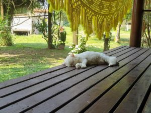 Madera Plástica en Costa Rica