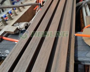 292572733_578658640303586_4749743598165540531_n