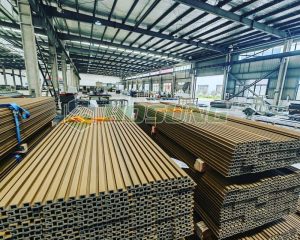 338267857_601223485258313_8751876010610910267_n